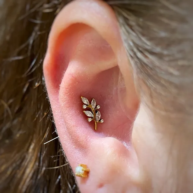 Piercing Labret Ramo com Folhas e Flores em Titânio Grau Implante - Vista 5