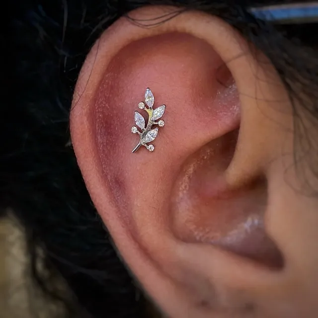 Piercing Labret Ramo com Folhas e Flores em Titânio Grau Implante - Vista 4