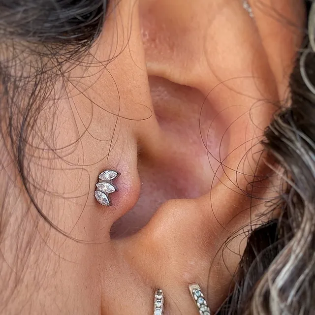 Piercing Labret Navete de Zircônia em Titânio Grau Implante - Vista 3