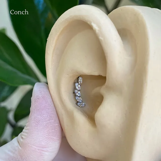 Piercing Labret Cluster Asas em Titânio Grau Implante - Vista 3