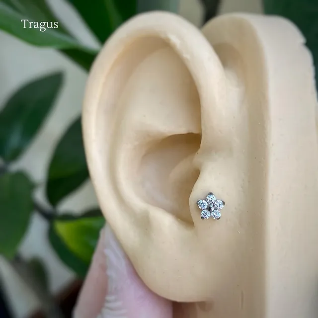 Piercing Labret Flor Cravejada com Zircônias em Titânio Grau Implante - Vista 7