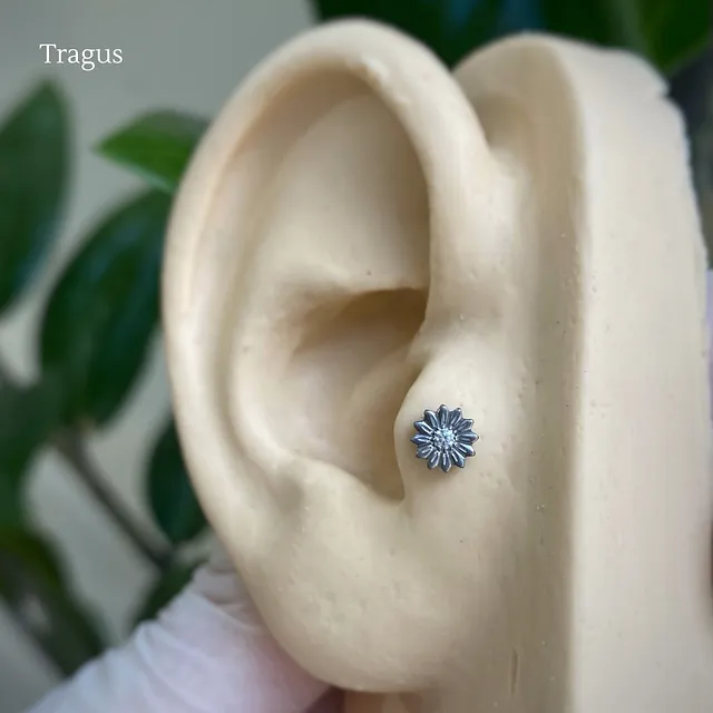 Piercing Labret Girassol em Titânio Grau Implante - Vista 5